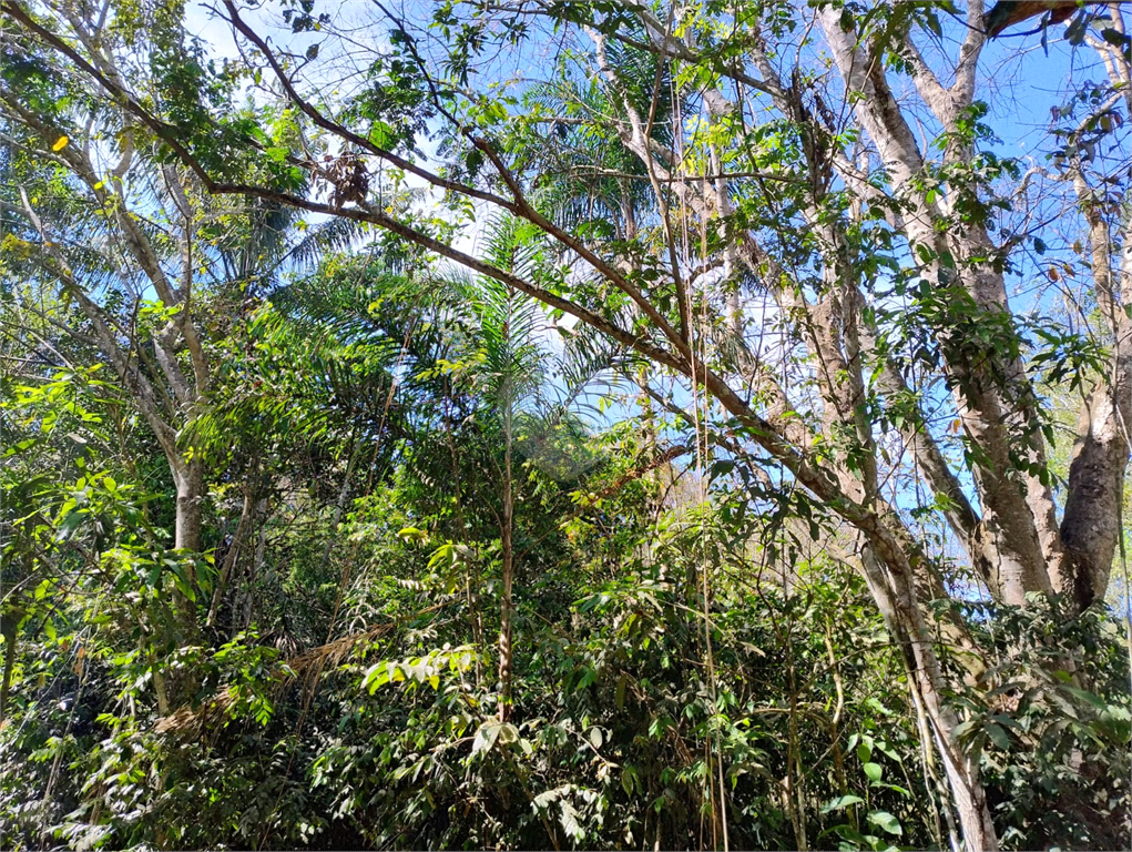 Venda Chácara Vilhena Área Rural De Vilhena REO1004625 10