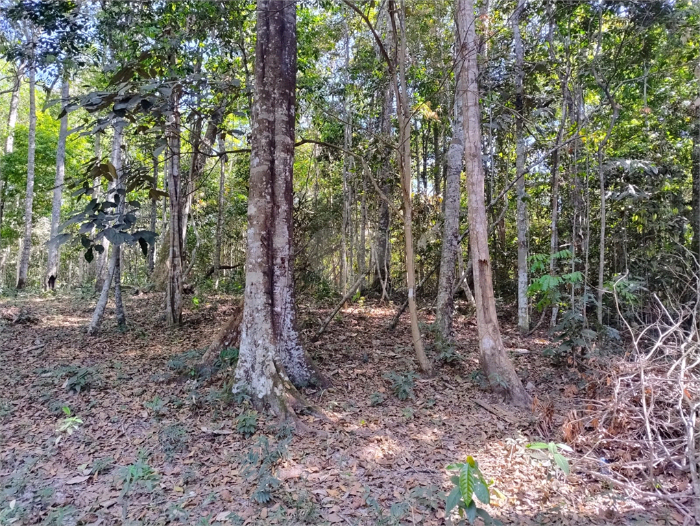 Venda Chácara Vilhena Área Rural De Vilhena REO1004625 25