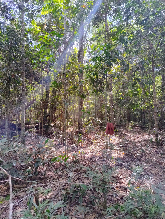 Venda Chácara Vilhena Área Rural De Vilhena REO1004625 21