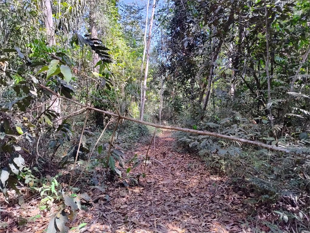 Venda Chácara Vilhena Área Rural De Vilhena REO1004625 18