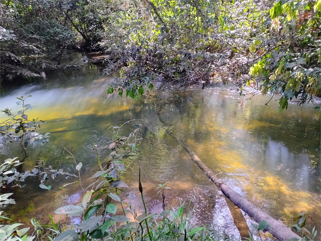 Venda Chácara Vilhena Área Rural De Vilhena REO1004625 2