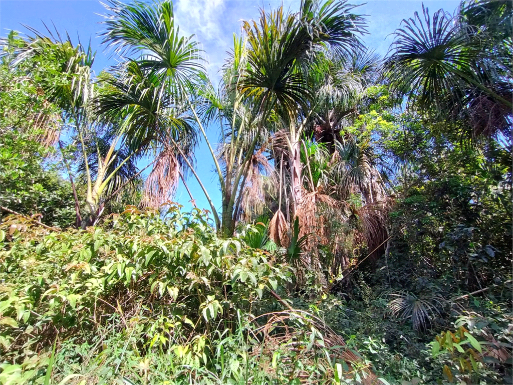 Venda Chácara Vilhena Área Rural De Vilhena REO1004625 12