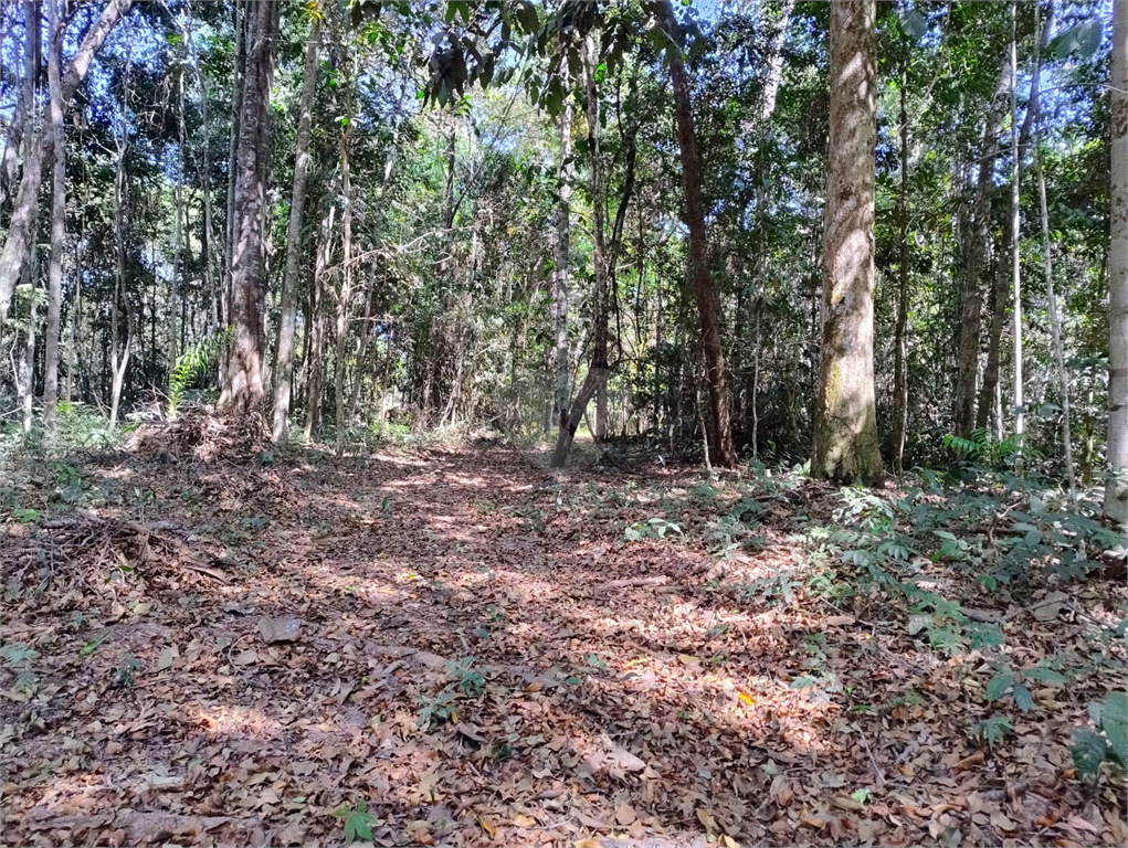 Venda Chácara Vilhena Área Rural De Vilhena REO1004625 9