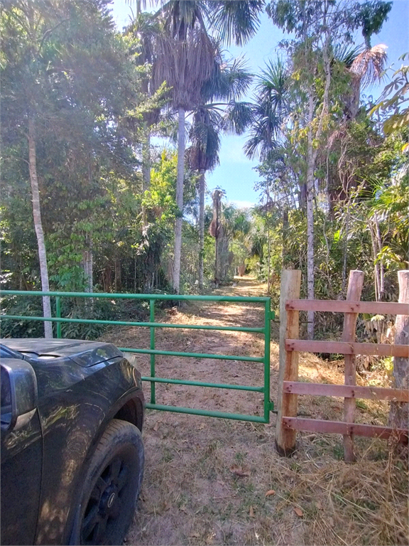 Venda Chácara Vilhena Área Rural De Vilhena REO1004625 1