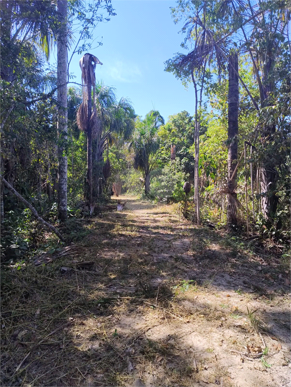 Venda Chácara Vilhena Área Rural De Vilhena REO1004625 39