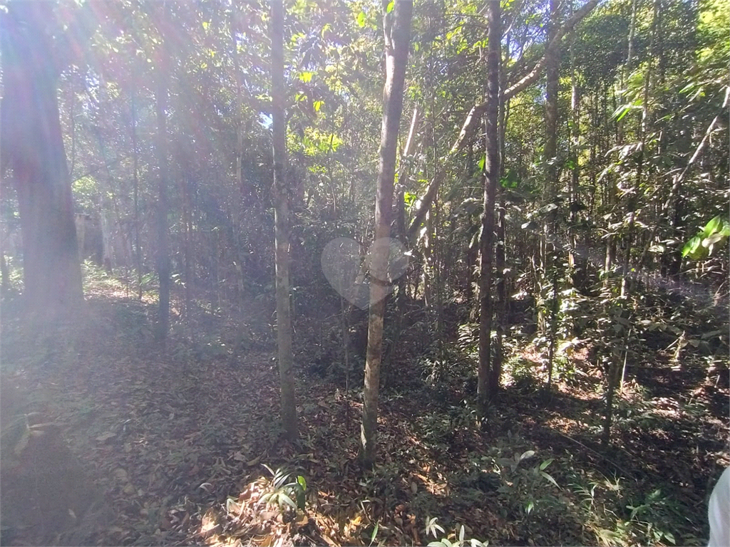 Venda Chácara Vilhena Área Rural De Vilhena REO1004625 36