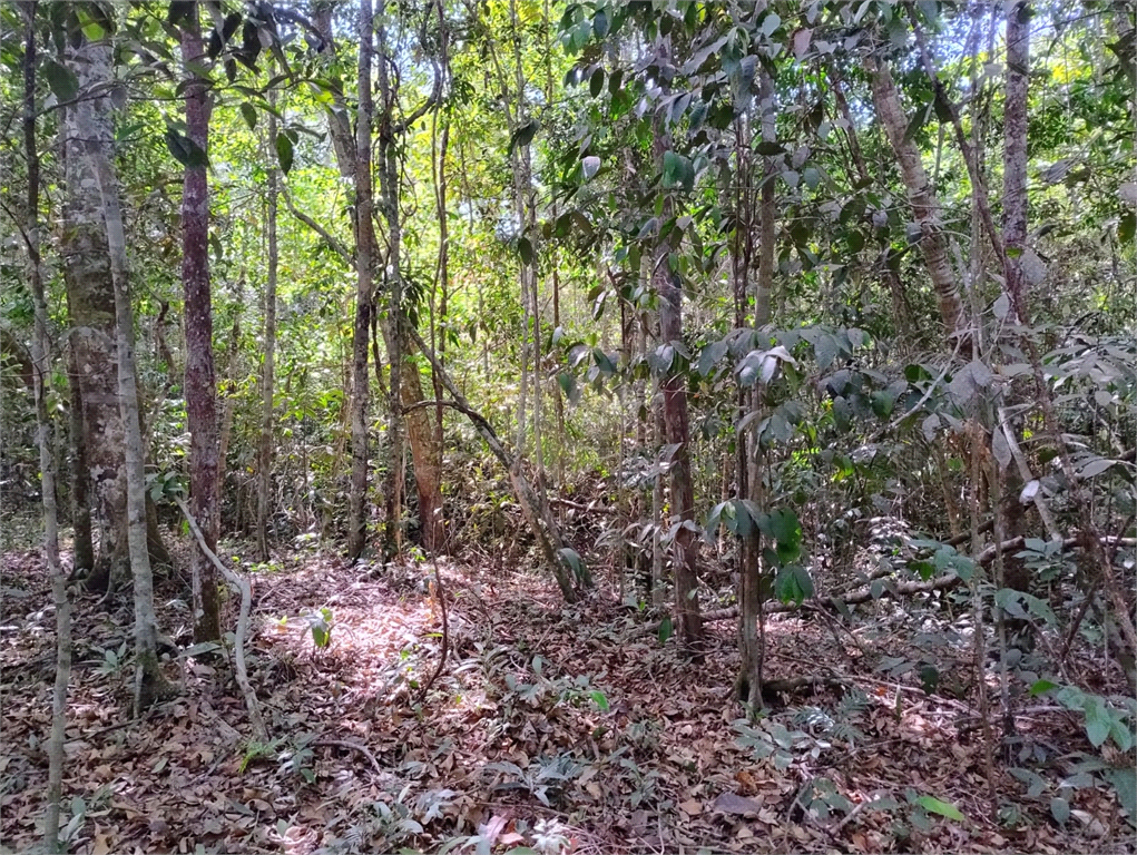 Venda Chácara Vilhena Área Rural De Vilhena REO1004625 19