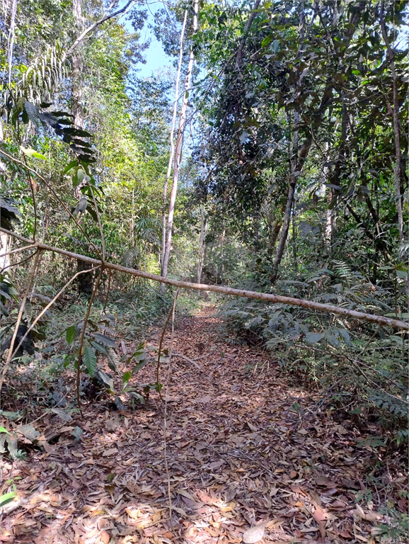 Venda Chácara Vilhena Área Rural De Vilhena REO1004625 20