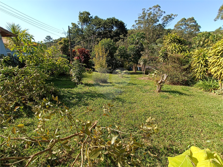 Foto REO1004801