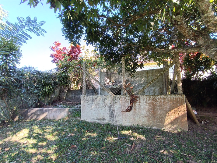 Foto REO1004801