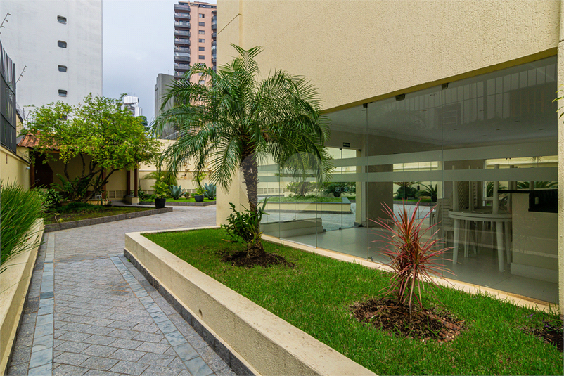 Foto REO1004888