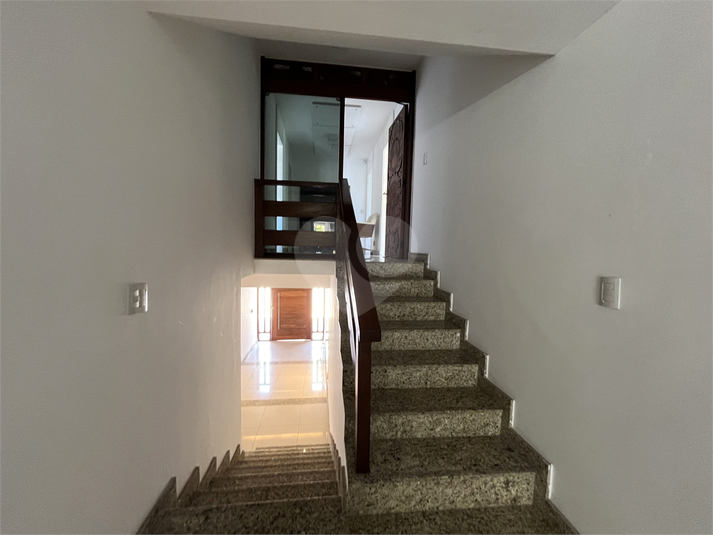 Foto REO1004937