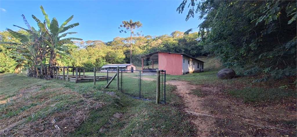 Venda Chácara São Roque Jardim Camargo (canguera) REO1005229 51