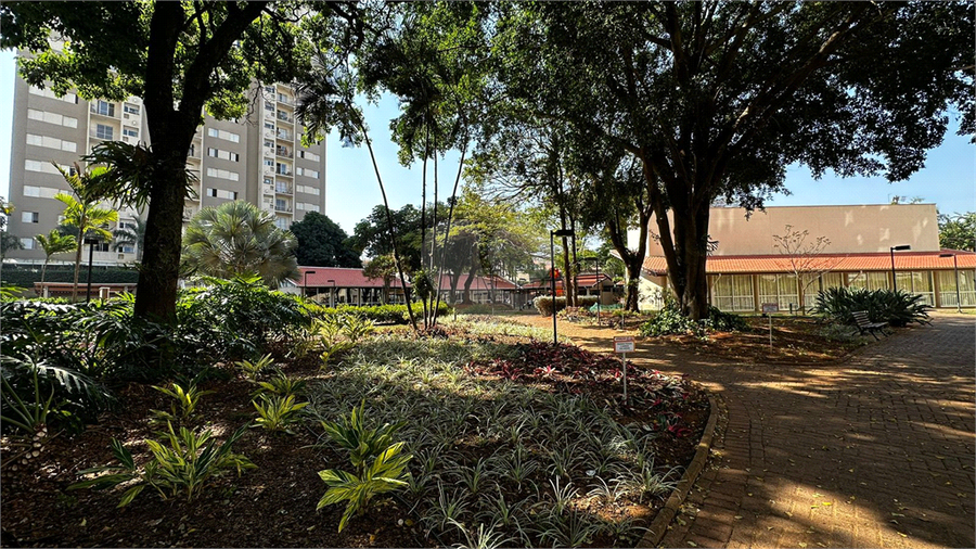 Aluguel Apartamento Limeira Jardim Esmeralda REO1005580 17