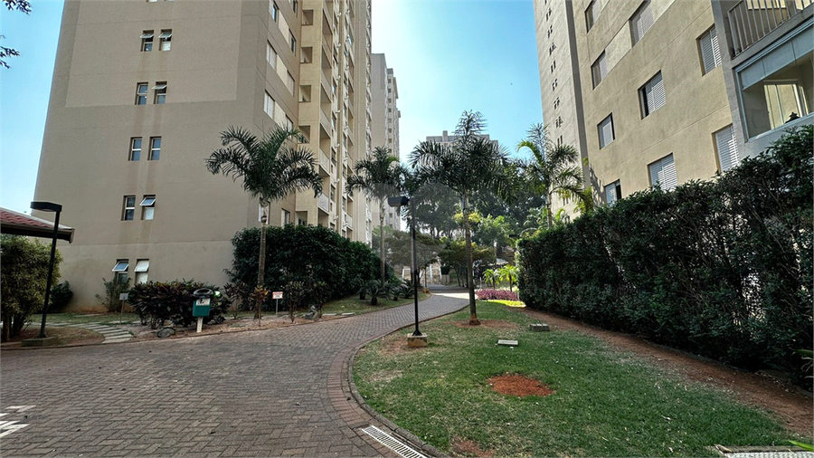 Aluguel Apartamento Limeira Jardim Esmeralda REO1005580 19