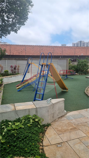 Foto REO1005869