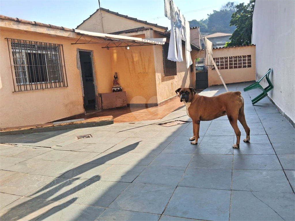 Venda Casa térrea São Paulo Parque Peruche REO1005895 33