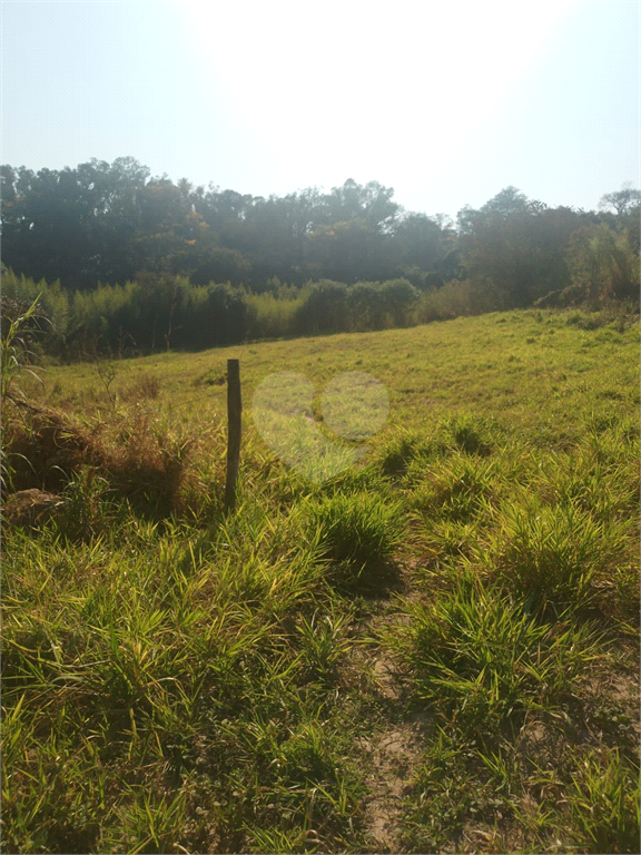 Venda Chácara Vinhedo Monte Alegre REO1006174 1