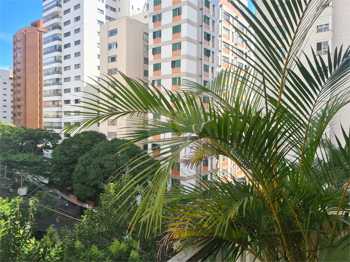 Foto REO1006758