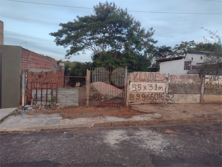 Foto REO1006895
