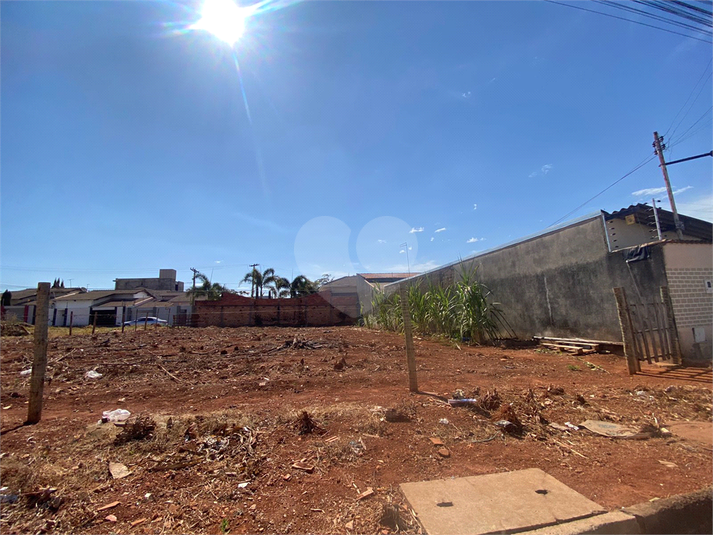 Foto REO1006968