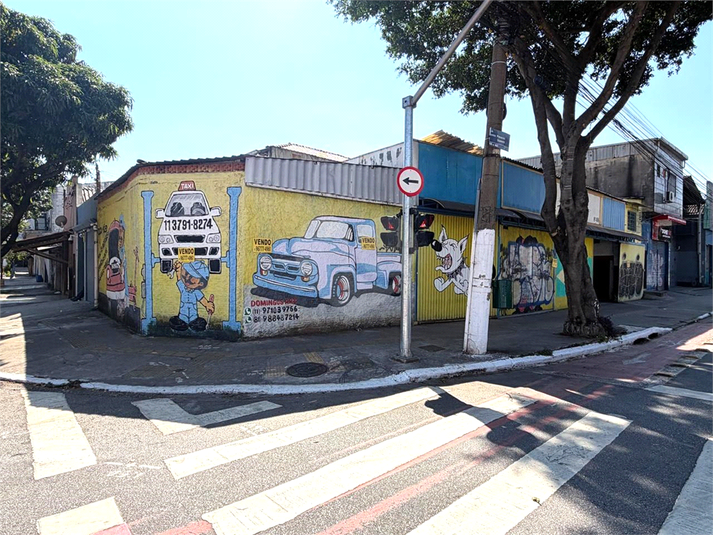 Foto REO1007276