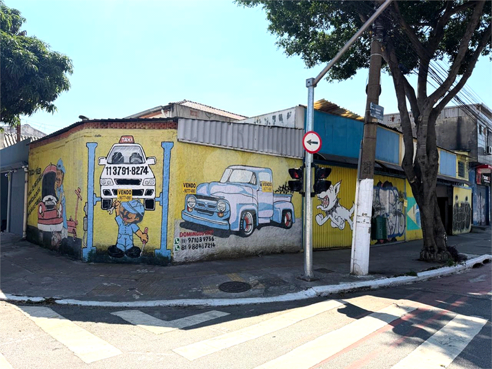 Foto REO1007276