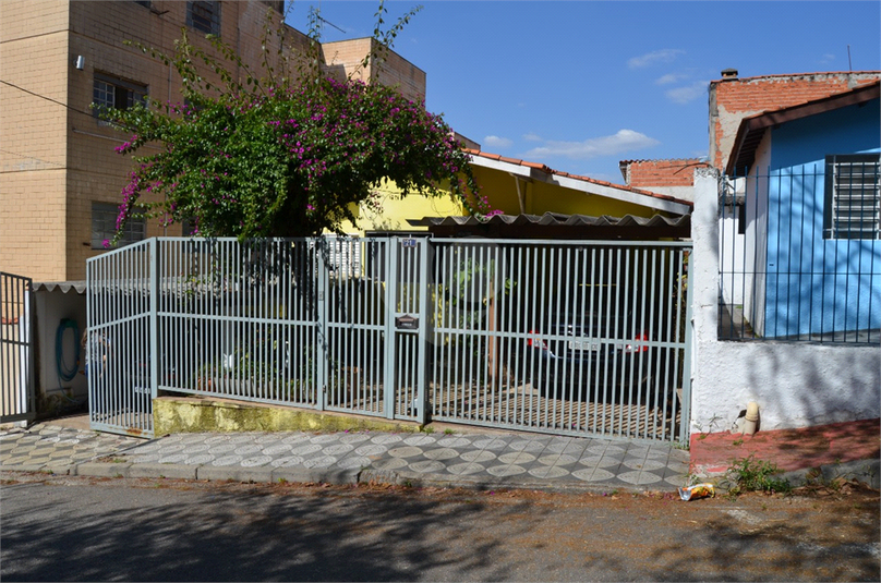 Foto REO1007387