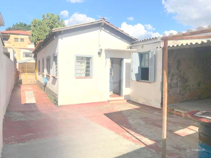Foto REO1007961