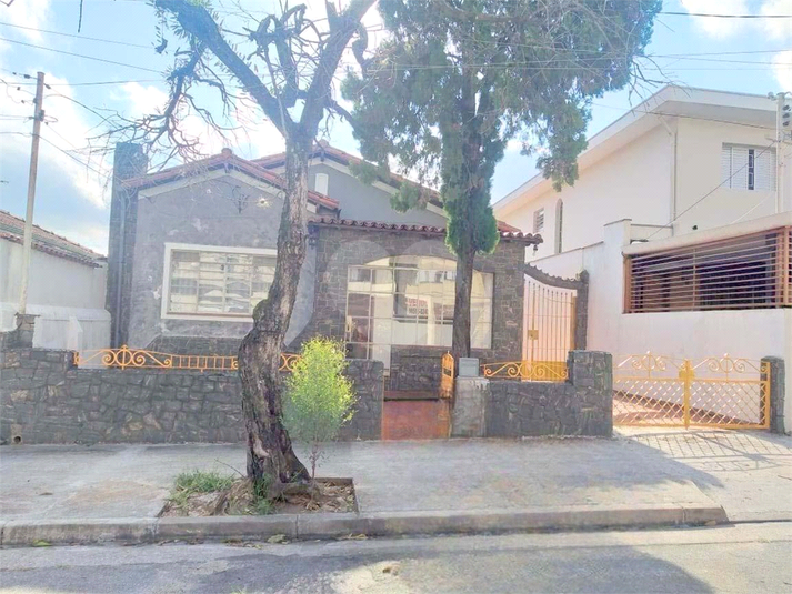 Foto REO1007961