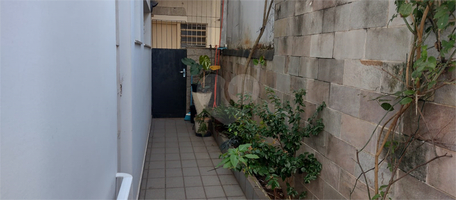 Foto REO1008332