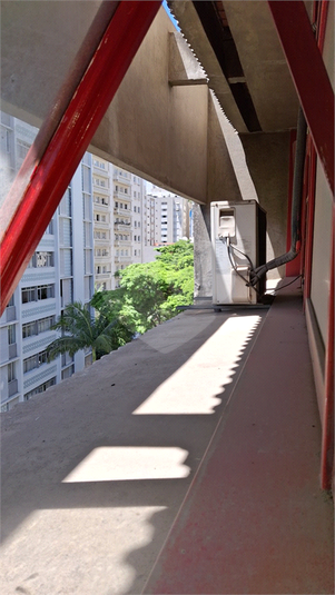 Foto REO1008456