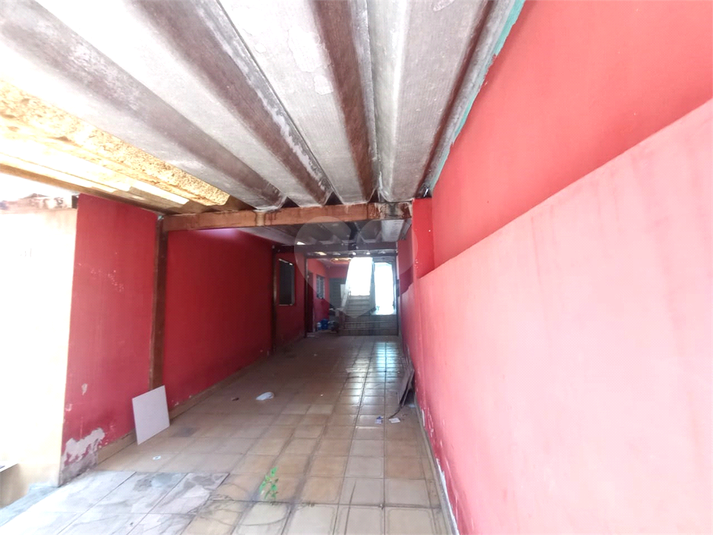 Foto REO1008531