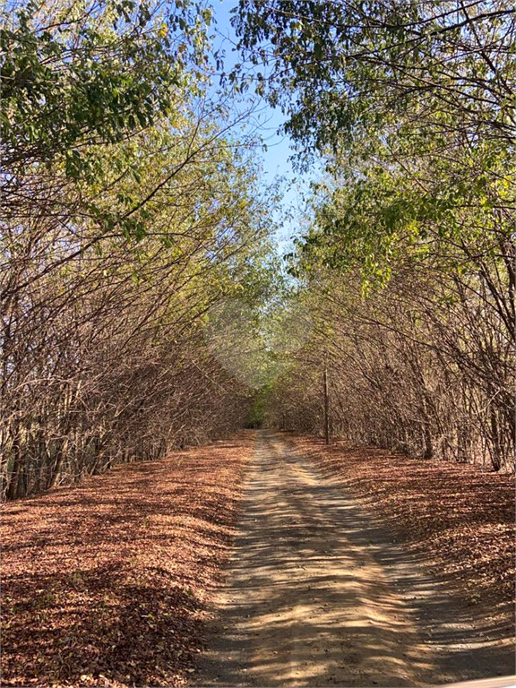 Venda Fazenda Araras Jardim São João REO1008610 6