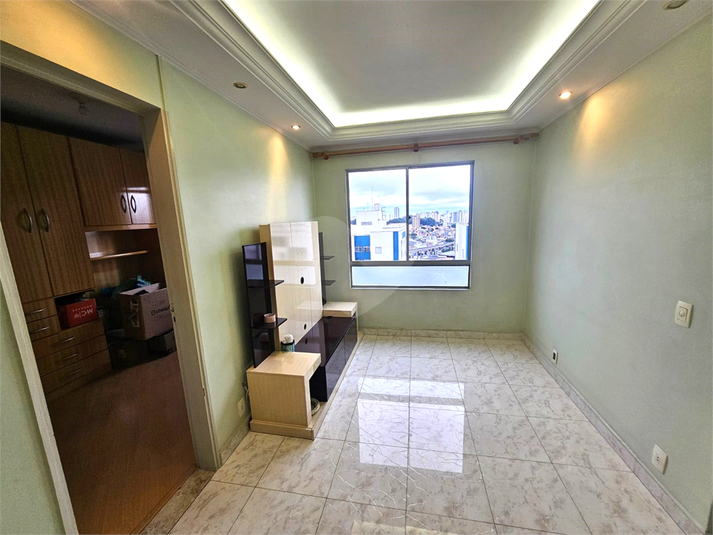 Foto REO1008773