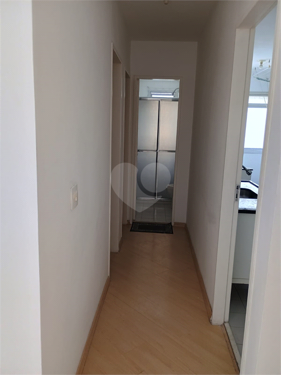 Aluguel Apartamento Guarulhos Jardim São Judas Tadeu REO1008787 7