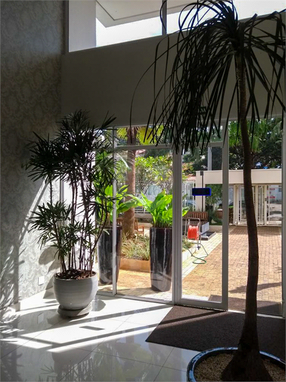 Venda Apartamento Campinas Vila Itapura REO1008895 52