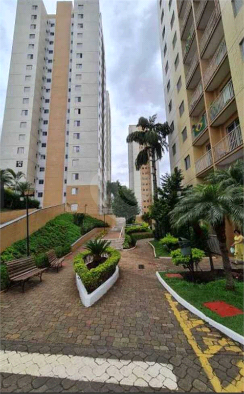 Venda Apartamento São Paulo Cidade Patriarca REO1009102 24