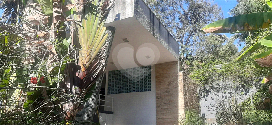 Foto REO1009248