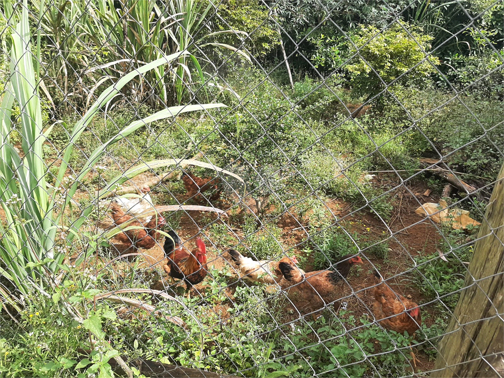 Venda Chácara Mogi Das Cruzes Parque Das Varinhas REO1009285 20