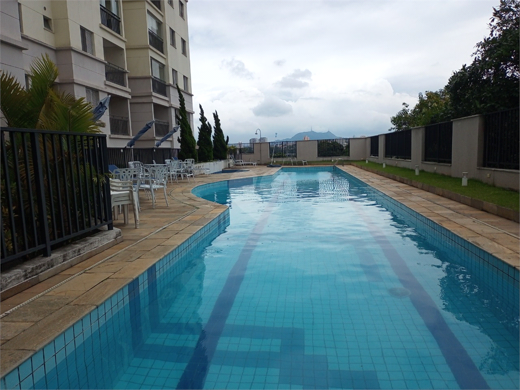 Aluguel Apartamento São Paulo Bela Aliança REO100936 1