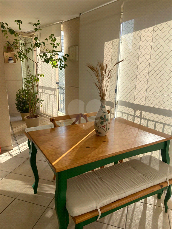 Venda Apartamento São Paulo Vila Mascote REO1009519 8