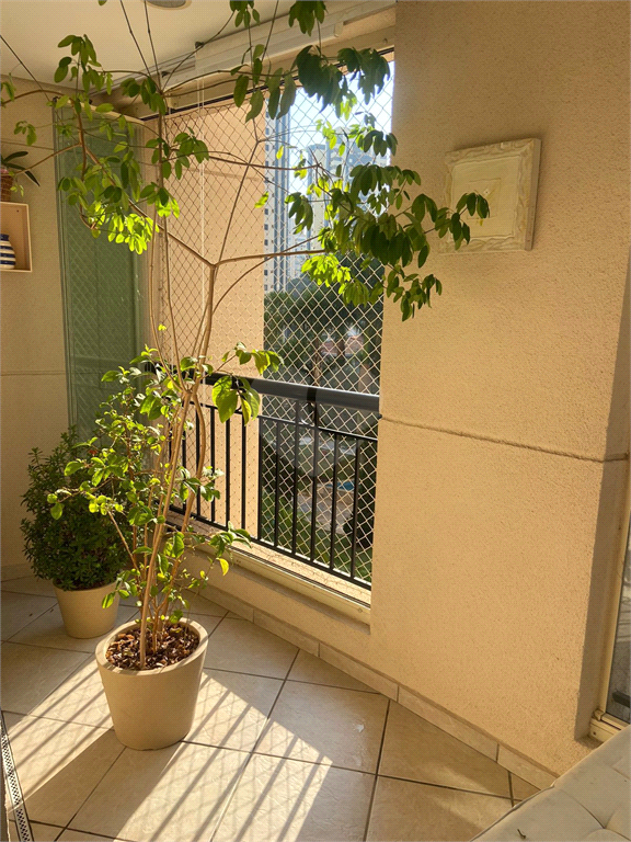 Venda Apartamento São Paulo Vila Mascote REO1009519 13