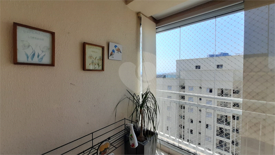 Foto REO1009667