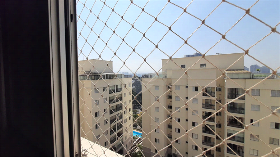 Foto REO1009667