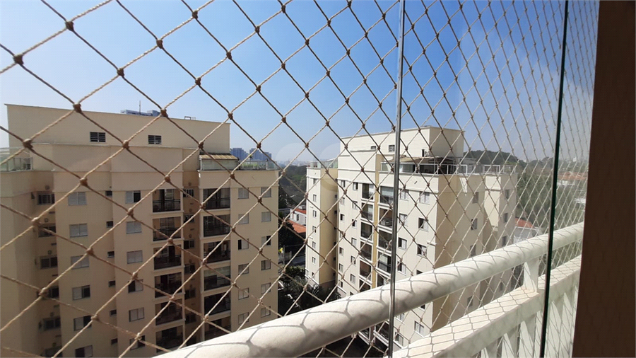 Foto REO1009667