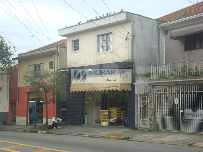 Foto REO1009763