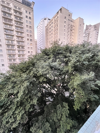 Foto REO1009780