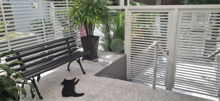 Foto REO1009942