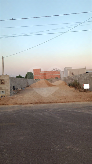 Foto REO1010266